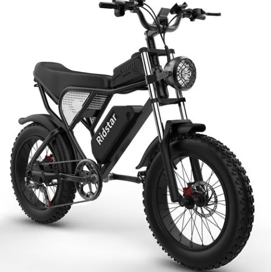 Ridstar Electric Bike for Adults 1500w 33mph,48v 20ah Electric Bicycle,20″ Fat Tire,7-Speed Mountain Bike Ul2849